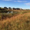 Habitat Restoration Consulting Services