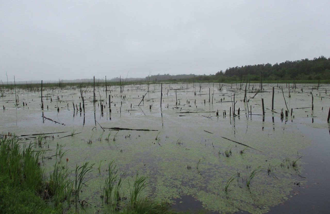 Ontario Summer 2020