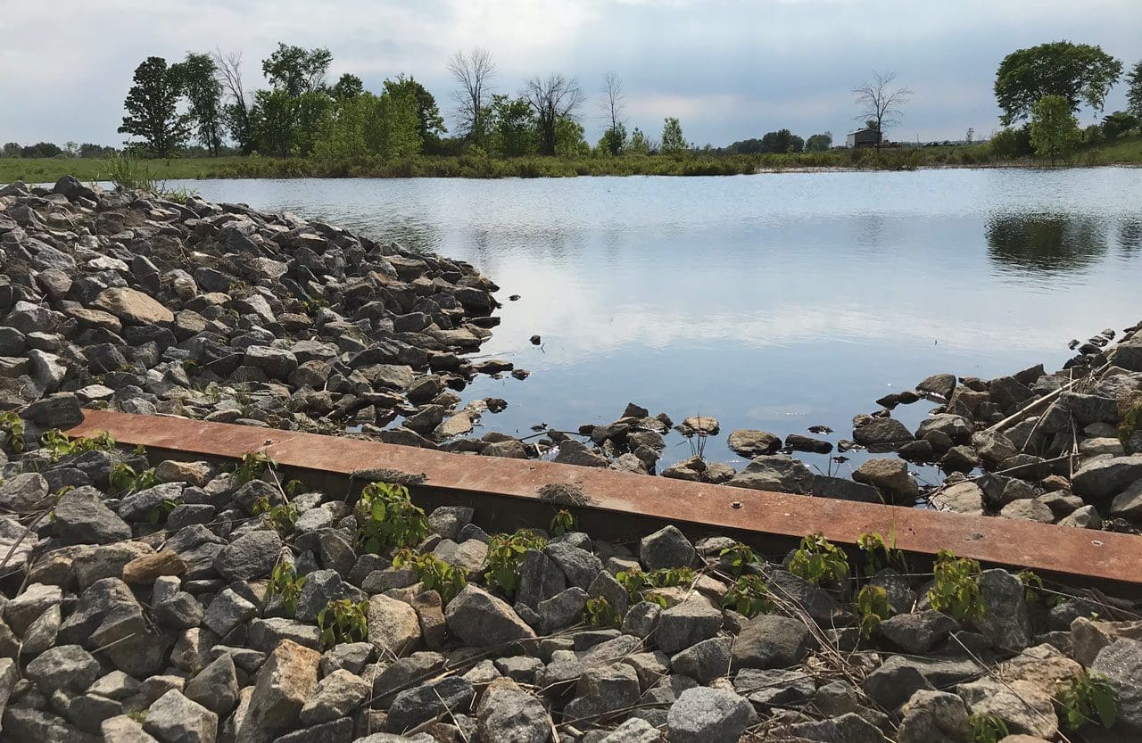 Waterfowl Habitat in Quebec, Summer 2020