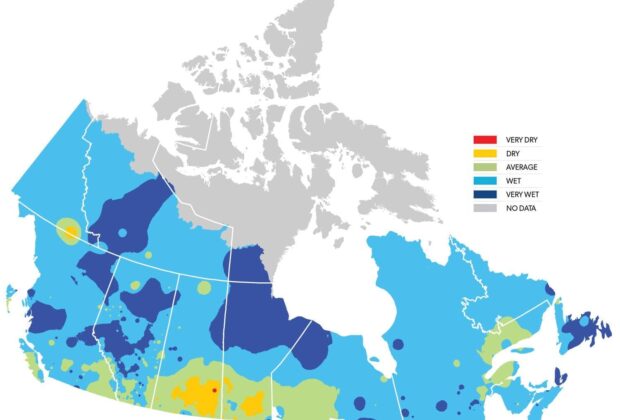 Summer Habitat Report 2020