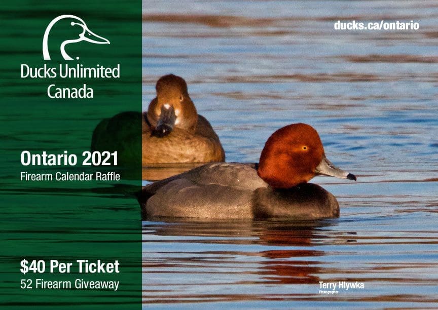Ducks Unlimited Calendar 2022 February Calendar 2022