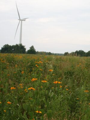 Habitat Restoration Services