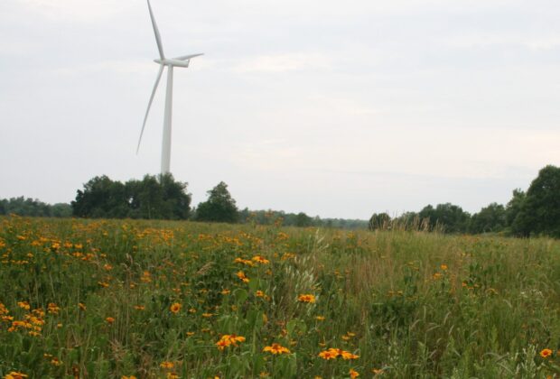 Habitat Restoration Services