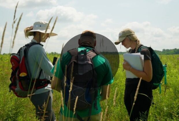 Engineered wetlands model provides solutions in Chalk River for Canadian Nuclear Laboratories
