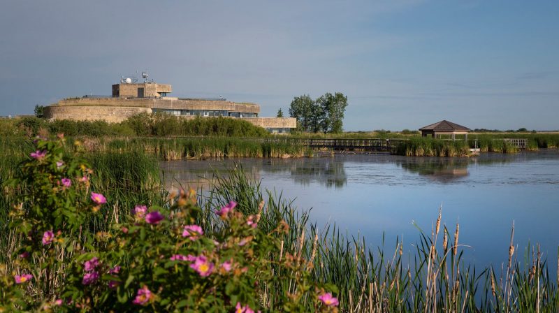 Say hello to the Harry J. Enns Wetland Discovery Centre