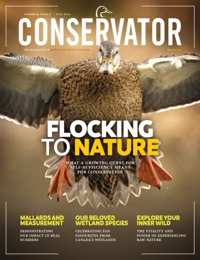 Conservator Magazine