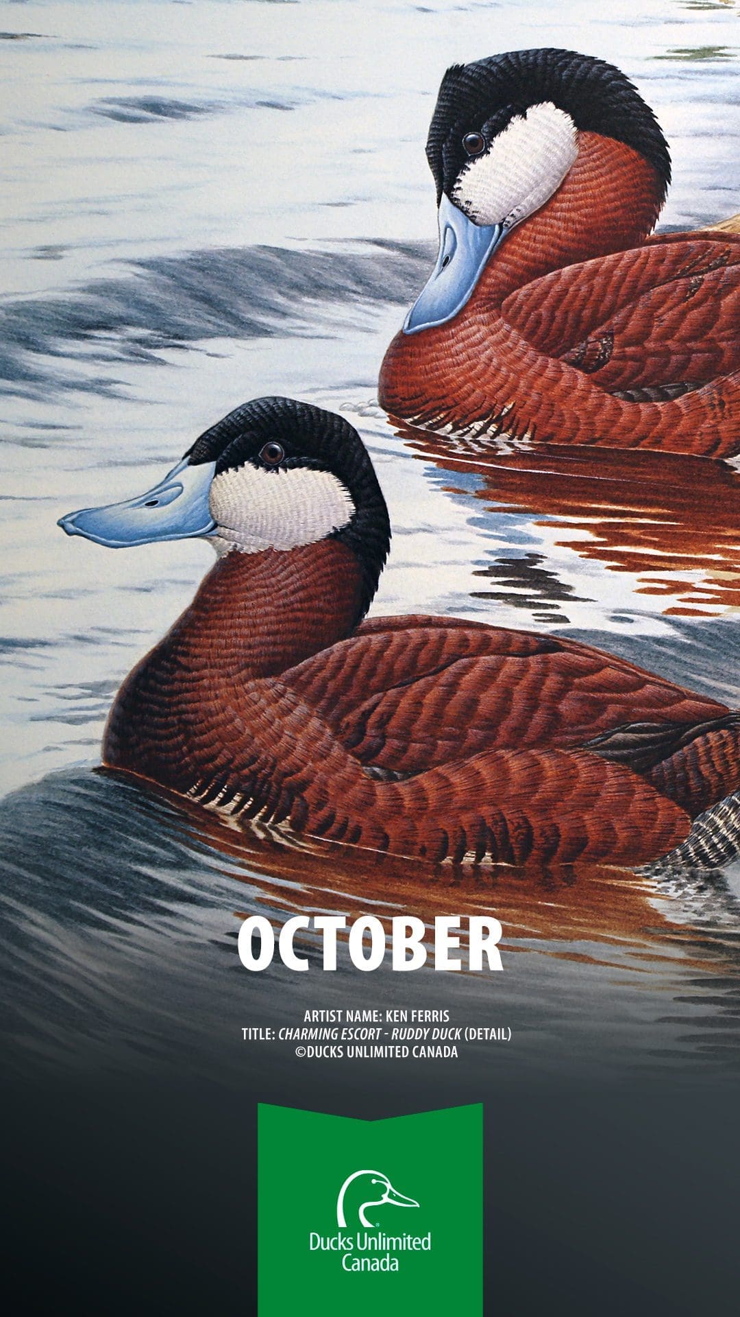 2022-ducks-unlimited-calendar-customize-and-print