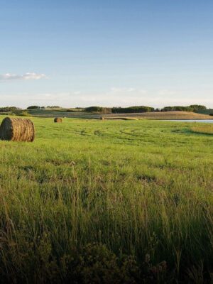 Alberta
