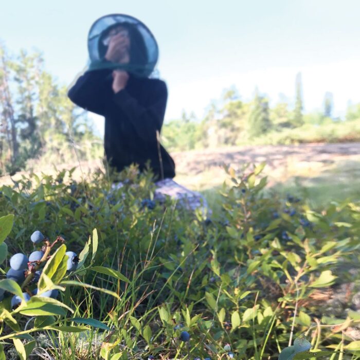 Carolyn Kosheluk’s son, Seth, eats a handful of blueberries under his mosquito-net hat.