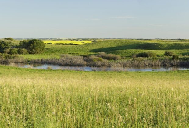 Natural Heritage Conservation Program