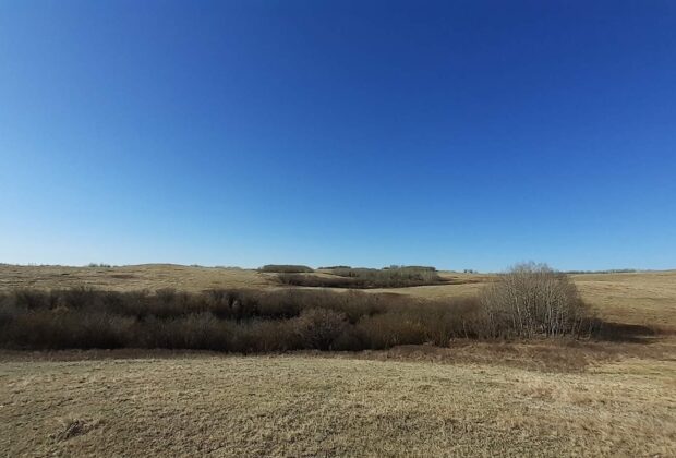 Saskatchewan farm family’s deep roots anchor conservation ethic