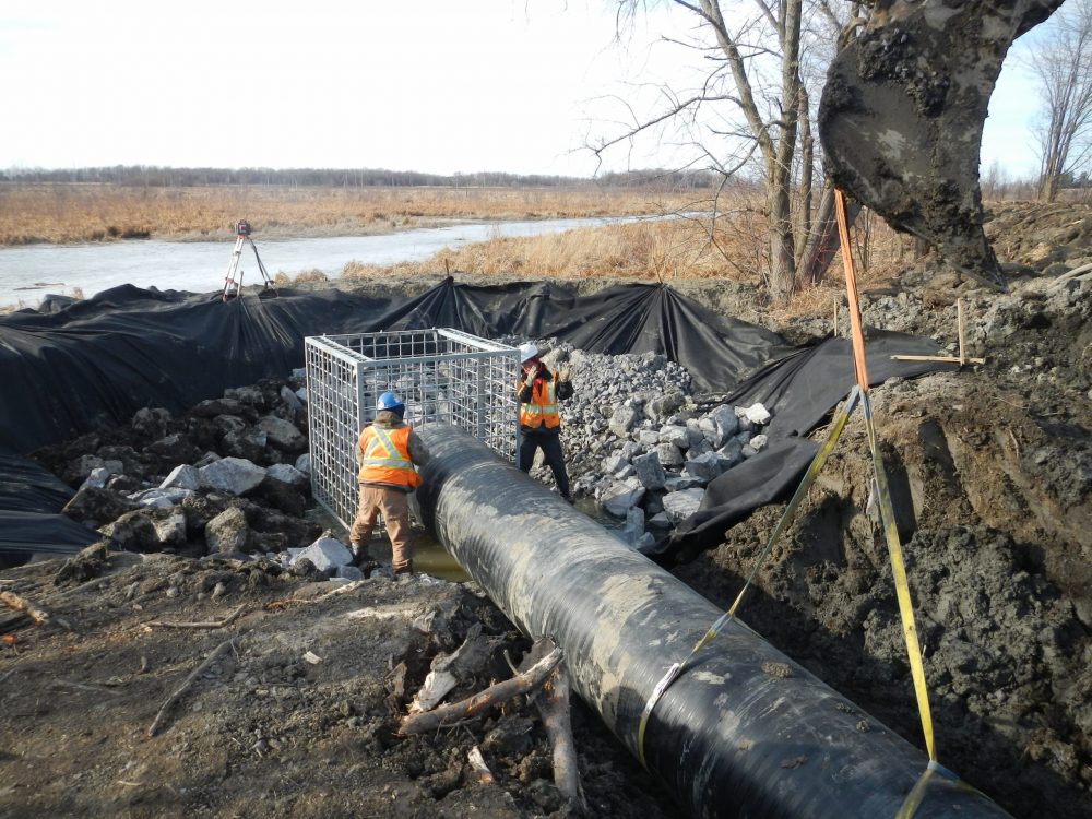 The marsh was rejuvenated with modern, more sustainable facilities. The water control structure is made of high-density plastic.