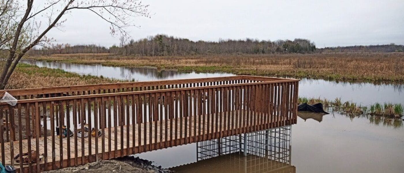 The final product enhances the value of this unique site for wildlife and visitors.