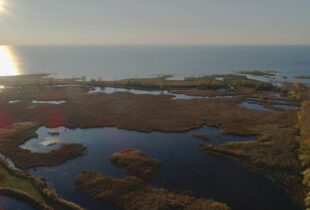 St. Luke’s Marsh