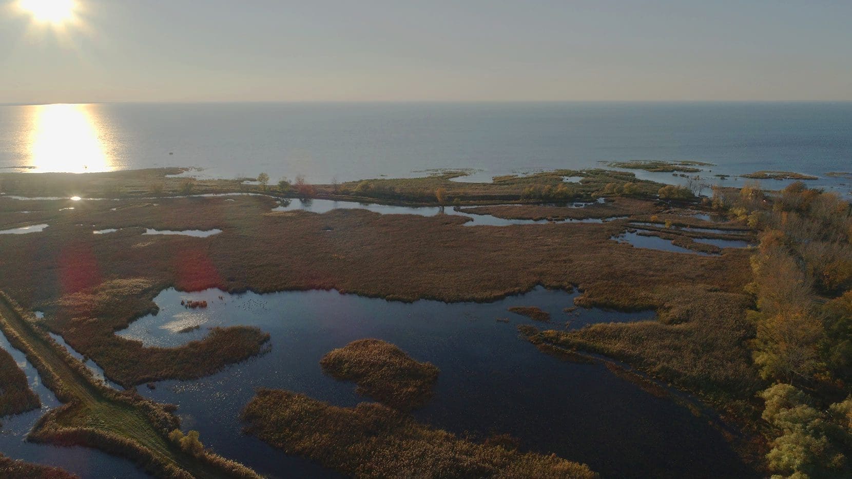 St Lukes Marsh arial photo