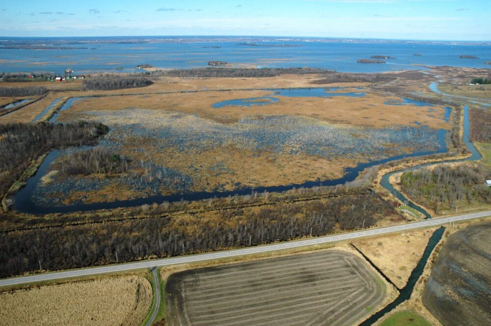 Ducks Unlimited Canada and Environment and Climate Change Canada Join Forces to Rebuild the Digue-aux-Aigrettes Marsh