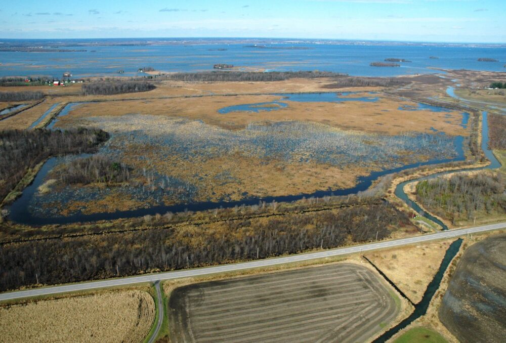 Aerial view.