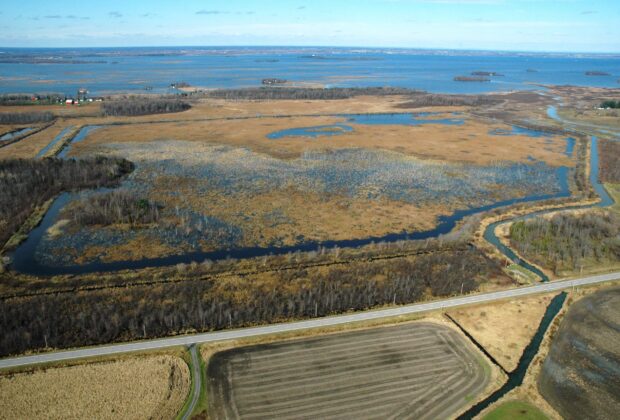 Ducks Unlimited Canada and Environment and Climate Change Canada Join Forces to Rebuild the Digue-aux-Aigrettes Marsh