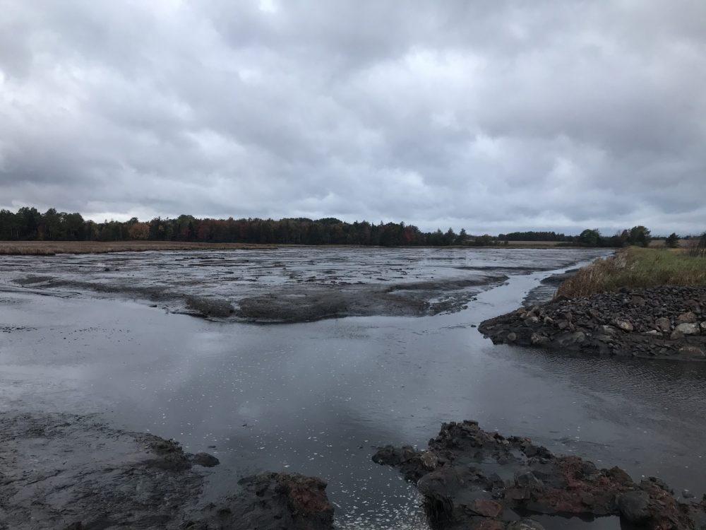 Exposed mudflats during low tide after breaching the dike.