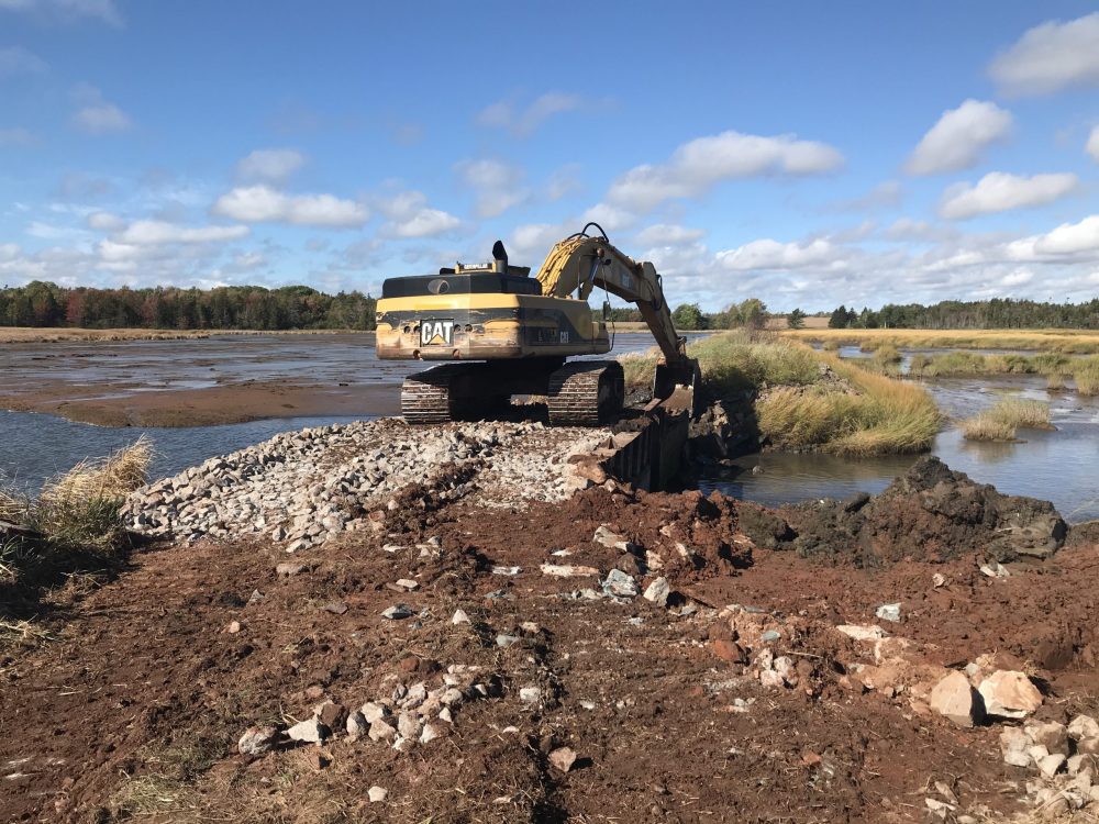 Construction began on Fullerton’s Marsh in fall 2020 with the removal of the original water control structure.