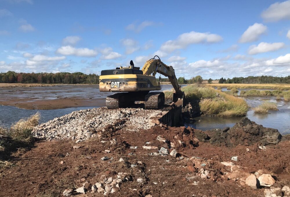 Construction began on Fullerton’s Marsh in fall 2020 with the removal of the original water control structure.