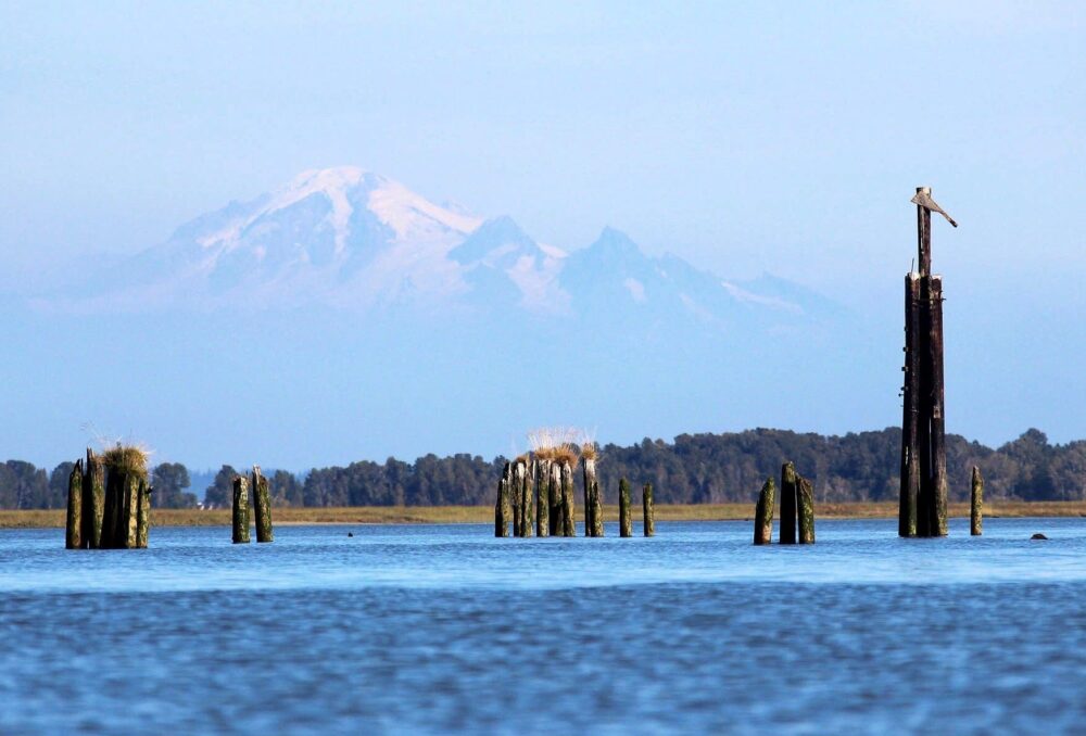 South Arm Marshes