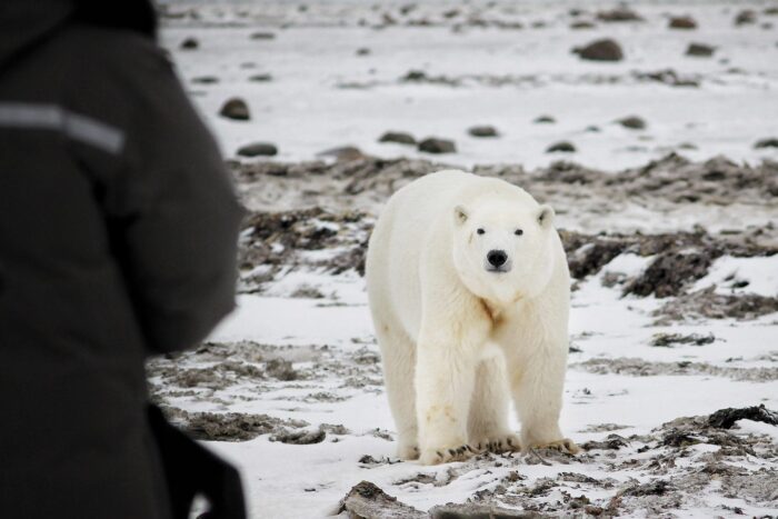 Churchill, Manitoba