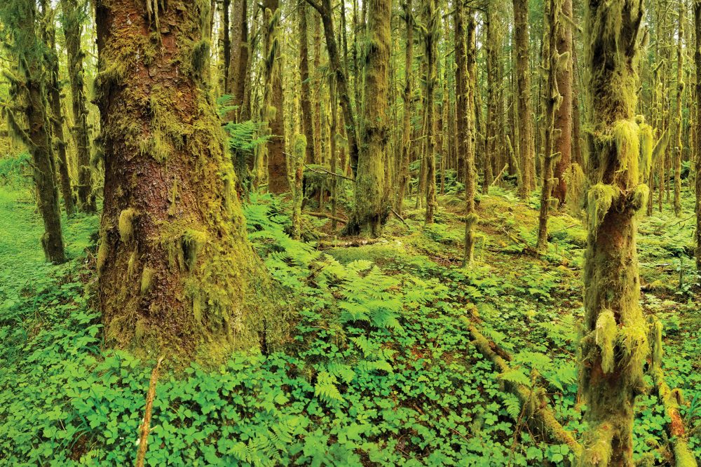 Haida Gwaii, British Columbia