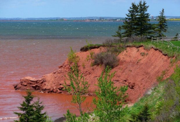 Ducks Unlimited Canada Returns Salt Water to Fullerton’s Marsh