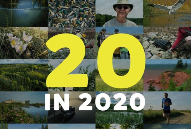 DUC’s Top 20 in 2020