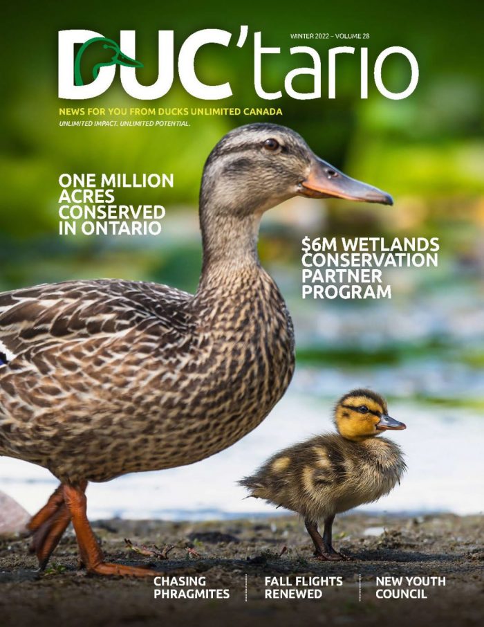 Duc'tario newsletter cover for 2021 edition