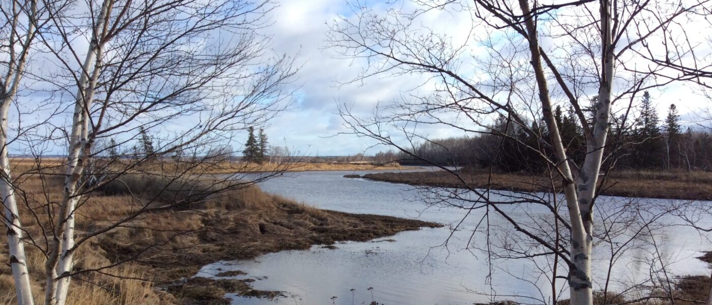 The inflow of salt water will be re-connected with the original tributary.