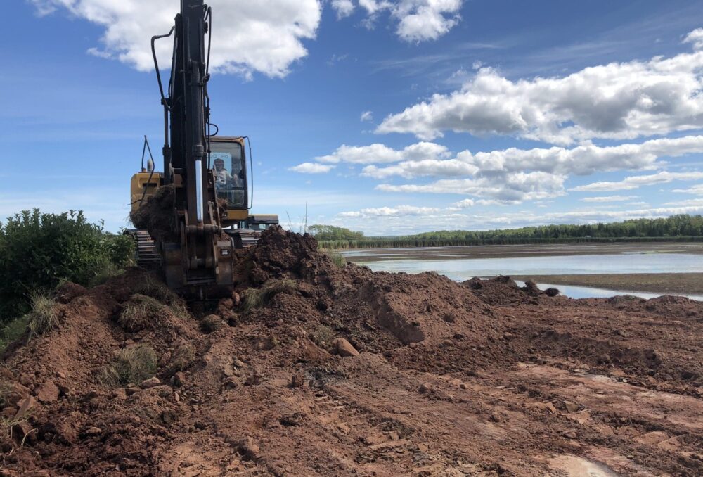 Levelling the dike in late summer.