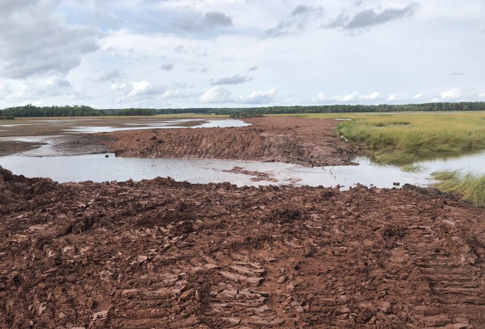 Mudflats and channel after levelling and breaching the dike.