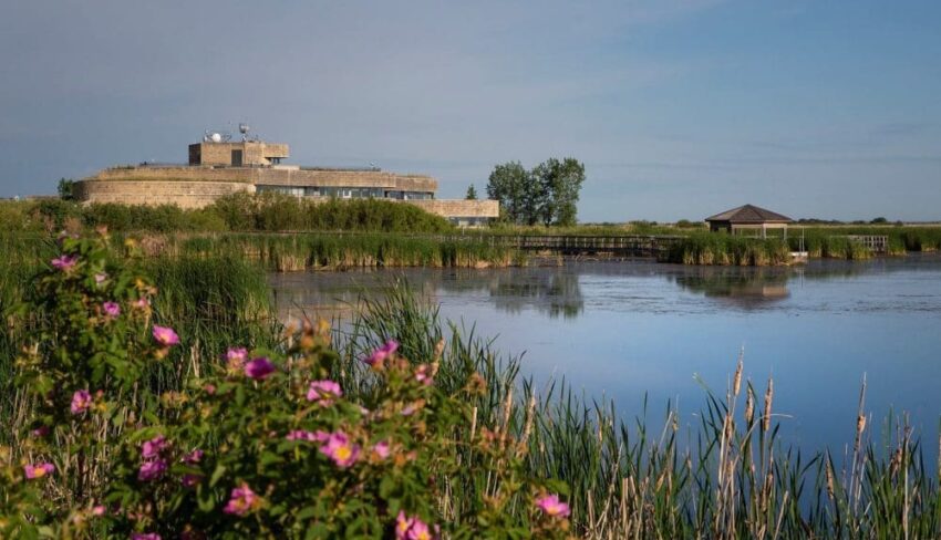 Transforming the Harry J. Enns Wetland Discovery Centre: A Hub for Education and Conservation