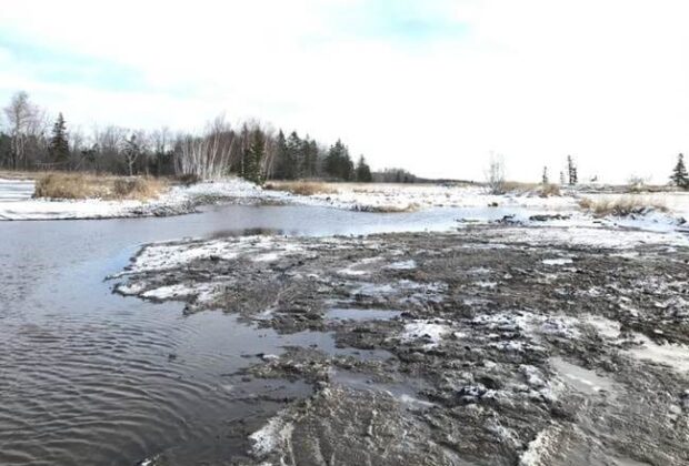 Re-wilding at Rivière du Nord