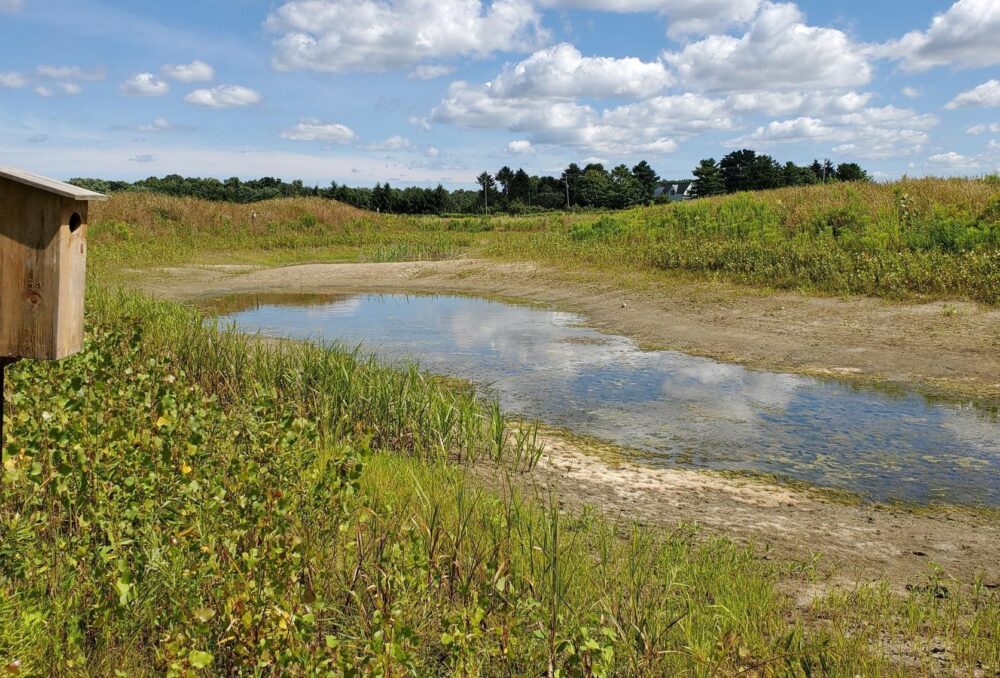 Generous landowners allow DUC to conduct research at small wetlands on private property.