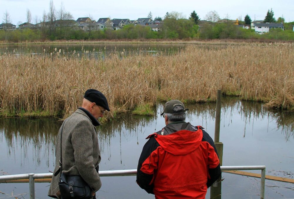 Buttertubs Marsh works as green infrastructure in the heart of Nanaimo, B.C. as a natural water filtration plant. The city estimates it would cost between it would cost the city between $4.7 million to $8.3 million to replicate what the marsh provides for water filtration.