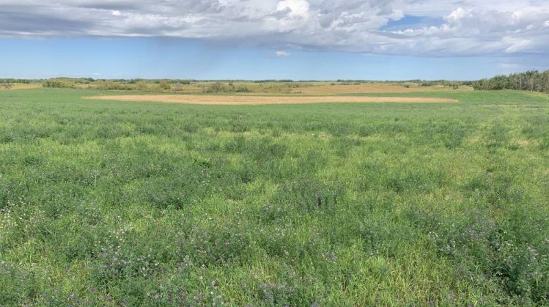DUC’s Revolving Land Conservation Program is on the mark