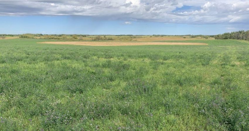 DUC’s Revolving Land Conservation Program is on the mark