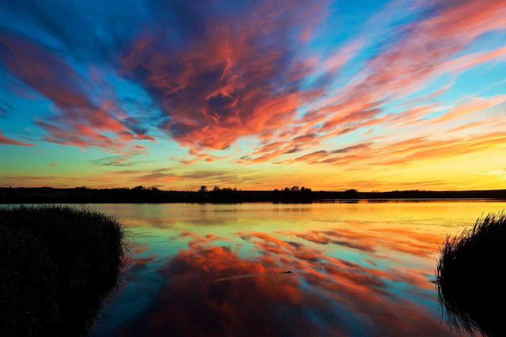 February 2 is World Wetlands Day—a day to recognize the vital role of wetlands for people and the planet.