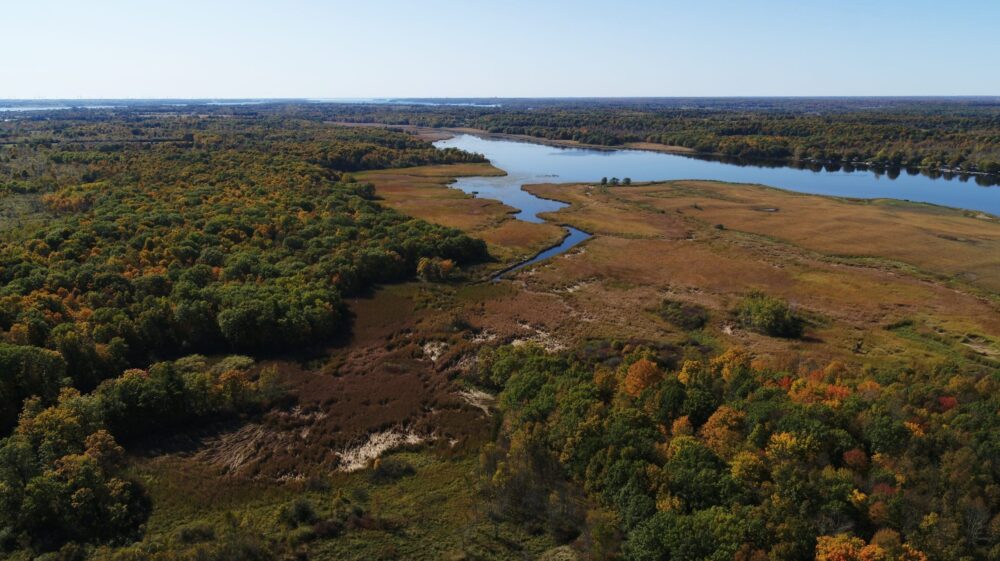 Coastal wetland habitat is a vanishing resource across the Great Lakes region.