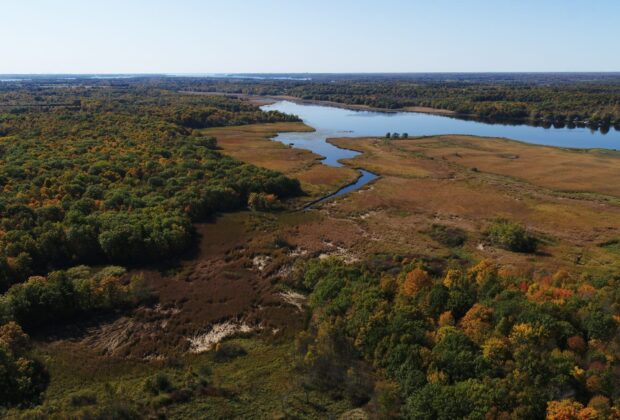 Wetland Restoration Near Kingston Creates Fish and Bird Habitat on Howe Island