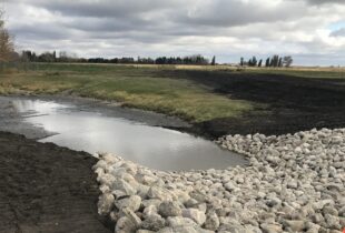 Wetland restoration and Alberta Wetland Policy benefit a farm family