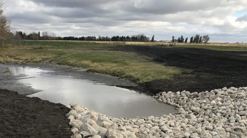 Wetland restoration and Alberta Wetland Policy benefit a farm family