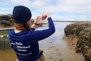 A Ducks Unlimited Canada in B.C. conservation specialist conducts fish sampling in the Fraser River Estuary.