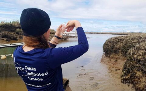 Saving The Fraser River Estuary: A Priority