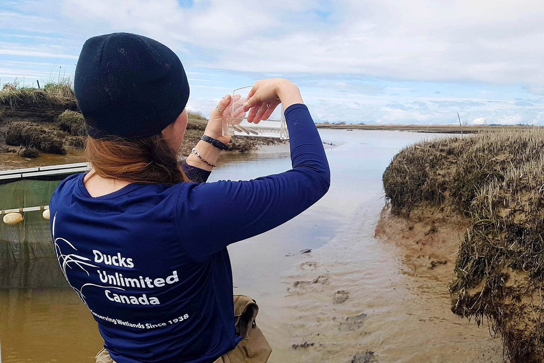 A Ducks Unlimited Canada in B.C. conservation specialist conducts fish sampling in the Fraser River Estuary as part of the Coastal Restoration Fund program. A new paper by 23 leading conservation specialists from across B.C. are pushing for Priority Threat Management, a new way to govern how the Fraser River Estuary is protected.