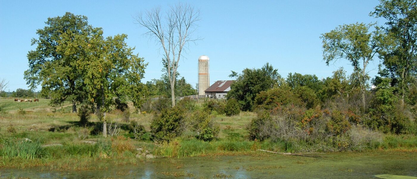 Small wetland projects may involve excavations to create basins or small berms to hold back surface water as it travels across a property. Wetlands contribute to the natural infrastructure of landscapes by supporting phosphorus reduction, biodiversity, climate readiness, clean water and overall watershed health.