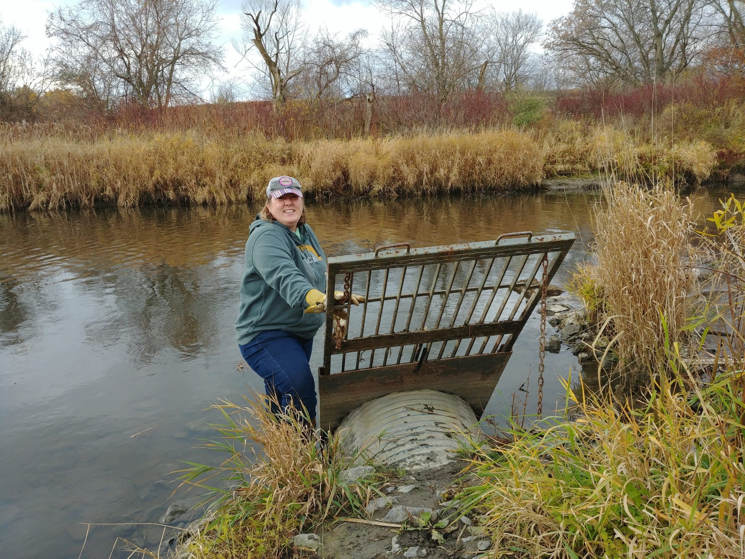 Ontario wetland construction work being done